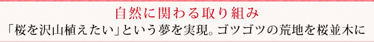 自然に関わる取り組み「桜を沢山植えたい」という夢を実現。ゴツゴツの荒地を桜並木に